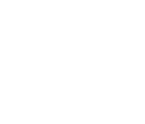 White Baig Homes Logo